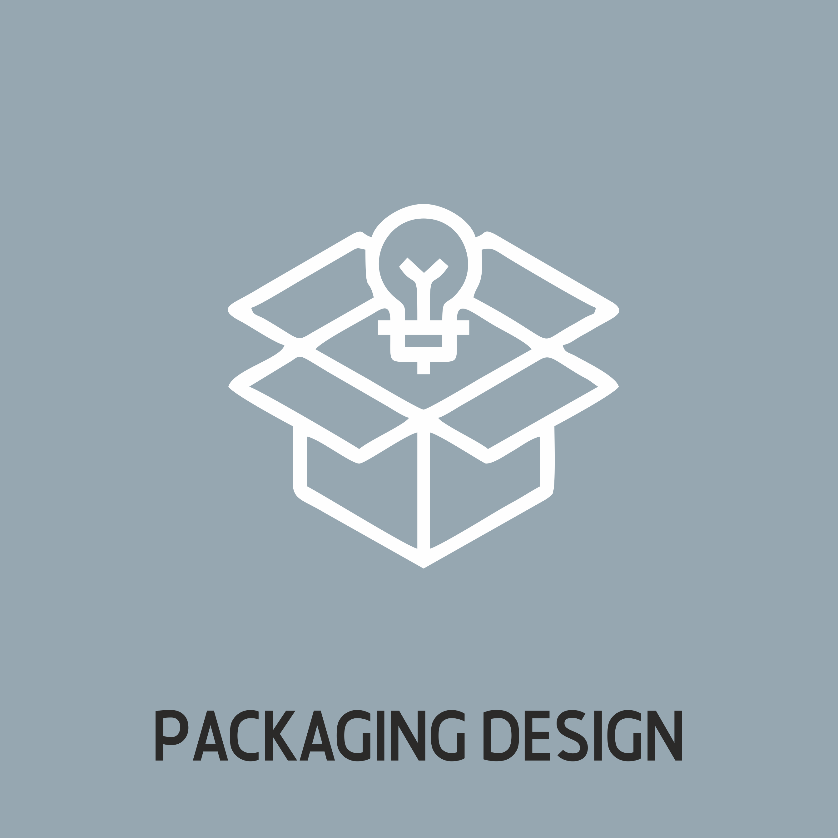 PACKAGING